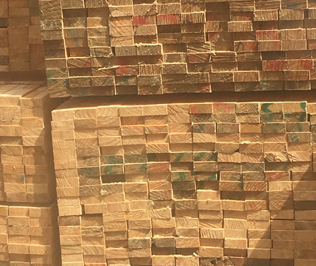 荔城新西兰进口松木